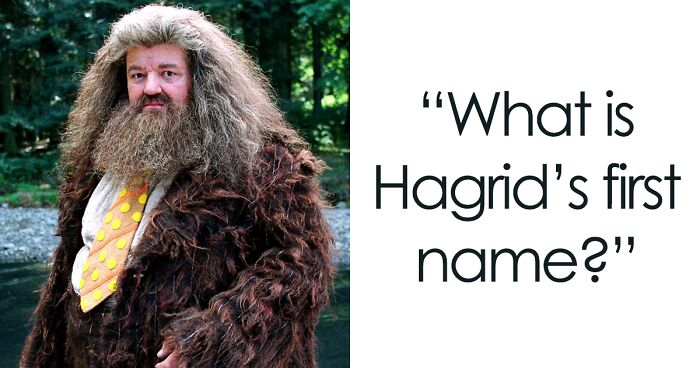 I’ve Given You 12 “Harry Potter” Questions, Anything Above Seven Is An Excellent Score