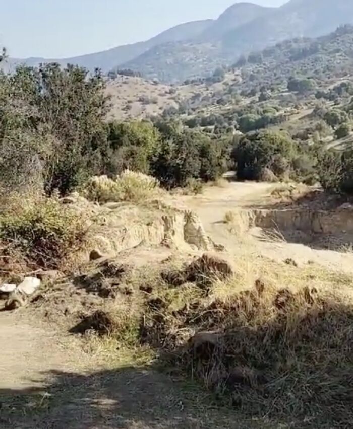 A Woman Lays Her Dear Old Dog To Rest When Suddenly Abandoned Puppy Appears Out Of Nowhere A Woman Lays Her Dear Old Dog To Rest When Suddenly Abandoned Puppy Appears Out Of Nowhere