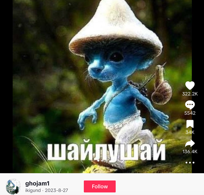 Smurf Cat: Why Is Everyone on TikTok Obsessing Over It? Smurf Cat: Why Is Everyone on TikTok Obsessing Over It?