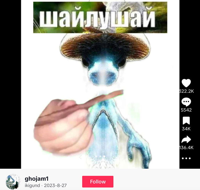 A popular TikTok post by user ghojam1 featuring a distorted image of a Smurf Cat with a mushroom cap hat, edited with a hand holding a stick. A popular TikTok post by user ghojam1 featuring a distorted image of a Smurf Cat with a mushroom cap hat, edited with a hand holding a stick.