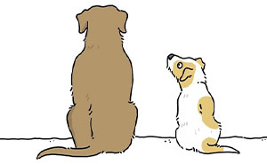 40 Comics By Jimmy Craig Reveal What Animals Would Say If They Could Talk (New Pics)