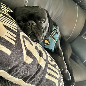 catherinewaugh avatar