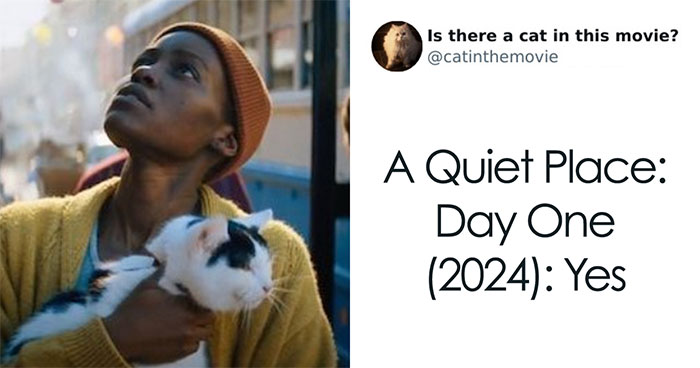 30 Times Cats Were Spotted In A Movie, Uncovered By This Account (New Pics)