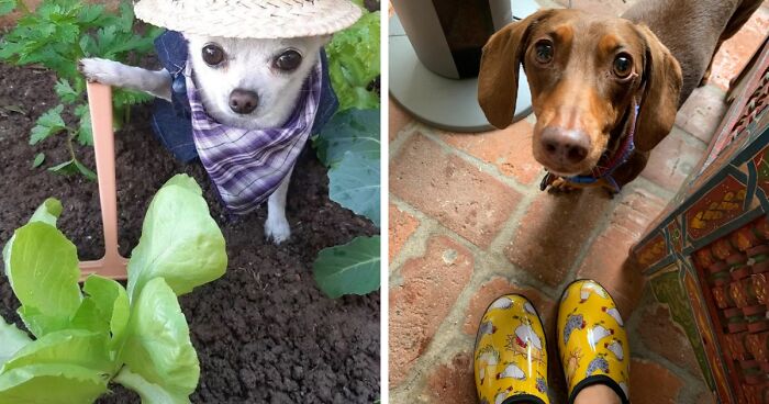 Entitled Contractor Blocks Neighbor’s Driveway, Then Demands He Cover The Parking Fine