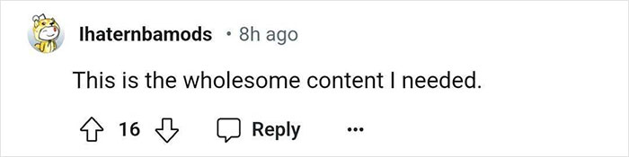 “I Need A Photo With Simone Biles”: 16YO Gymnast’s “Fangirl” Moment At The Olympics Goes Viral “I Need A Photo With Simone Biles”: 16YO Gymnast’s “Fangirl” Moment At The Olympics Goes Viral