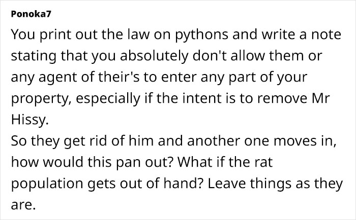 Python Lives Peacefully Under Woman’s House for Years, Neighbor Suddenly Insists on Removing It Python Lives Peacefully Under Woman’s House for Years, Neighbor Suddenly Insists on Removing It