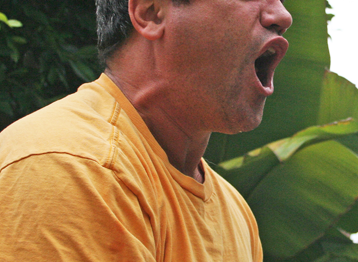 Homeowner Maliciously Complies With City Bylaws After Being Harassed By A Neighbor Homeowner Maliciously Complies With City Bylaws After Being Harassed By A Neighbor