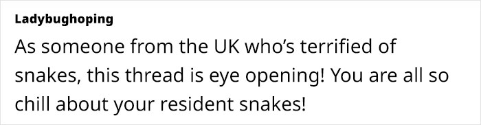 Python Lives Peacefully Under Woman’s House for Years, Neighbor Suddenly Insists on Removing It Python Lives Peacefully Under Woman’s House for Years, Neighbor Suddenly Insists on Removing It