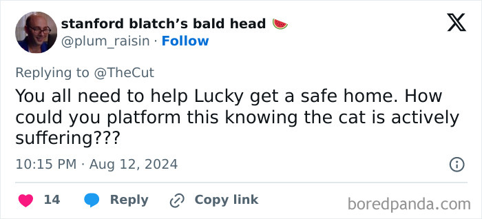 “Psychopath” Mom Exposes Her Own Neglect Towards Her Cat In A Viral Op-Ed, Sparks Outrage “Psychopath” Mom Exposes Her Own Neglect Towards Her Cat In A Viral Op-Ed, Sparks Outrage