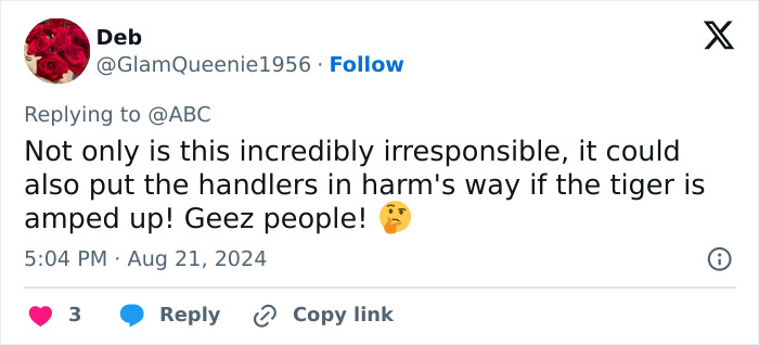 Tiger Nearly Eats Zoo Visitor After She Climbed Into Enclosure To Pet It, Police Now Involved Tiger Nearly Eats Zoo Visitor After She Climbed Into Enclosure To Pet It, Police Now Involved