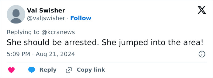 Tiger Nearly Eats Zoo Visitor After She Climbed Into Enclosure To Pet It, Police Now Involved Tiger Nearly Eats Zoo Visitor After She Climbed Into Enclosure To Pet It, Police Now Involved