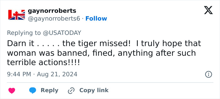 Tiger Nearly Eats Zoo Visitor After She Climbed Into Enclosure To Pet It, Police Now Involved Tiger Nearly Eats Zoo Visitor After She Climbed Into Enclosure To Pet It, Police Now Involved