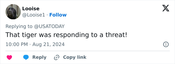 Tiger Nearly Eats Zoo Visitor After She Climbed Into Enclosure To Pet It, Police Now Involved Tiger Nearly Eats Zoo Visitor After She Climbed Into Enclosure To Pet It, Police Now Involved