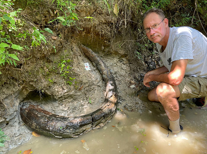 Man Goes Viral Online After His Exploration Walk Turns Into A Massive Mammoth Tusk Discovery Man Goes Viral Online After His Exploration Walk Turns Into A Massive Mammoth Tusk Discovery