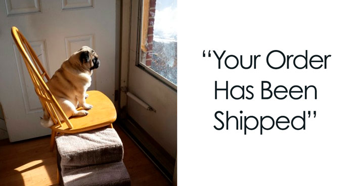 19 Waiting Memes For When You’ve Got Nothing But Time