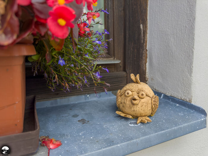 In A Bookworm’s Paradise: A Cozy Neighborhood Library In The Czech Republic In A Bookworm’s Paradise: A Cozy Neighborhood Library In The Czech Republic