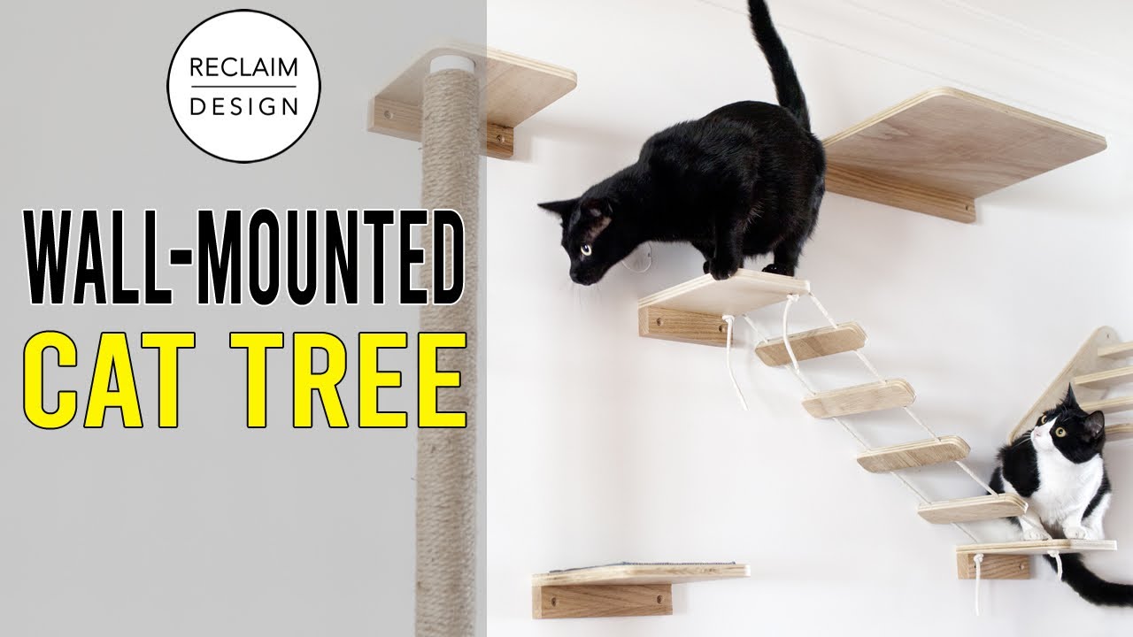 I Made This Wall-Mounted Cat Tree Out Of Reclaimed Wood To Surprise A Friend
