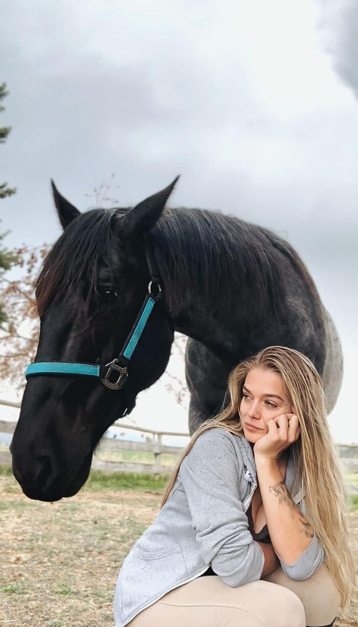 A Special Bond Between A Rescue Horse And His Owner’s Fiancé Is Melting Hearts On The Internet A Special Bond Between A Rescue Horse And His Owner’s Fiancé Is Melting Hearts On The Internet