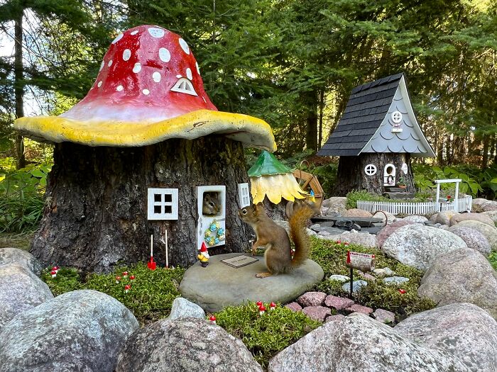 I Turned Tree Stumps Into A Chipmunk Village During The Pandemic I Turned Tree Stumps Into A Chipmunk Village During The Pandemic