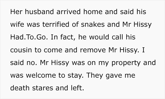 Python Lives Peacefully Under Woman’s House for Years, Neighbor Suddenly Insists on Removing It Python Lives Peacefully Under Woman’s House for Years, Neighbor Suddenly Insists on Removing It