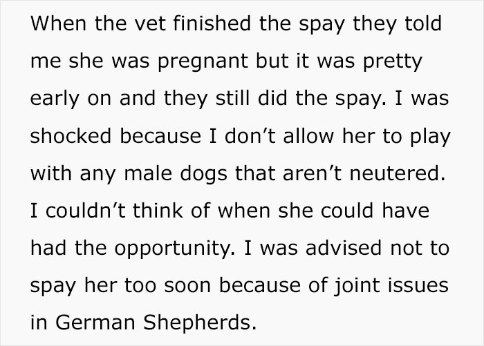 “AITA For Thinking Of Breaking Up With My BF Because Of What He Did To My Dog?” “AITA For Thinking Of Breaking Up With My BF Because Of What He Did To My Dog?”