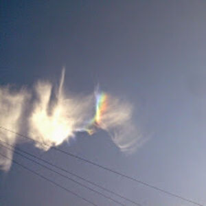 lawrencebrown_3 avatar