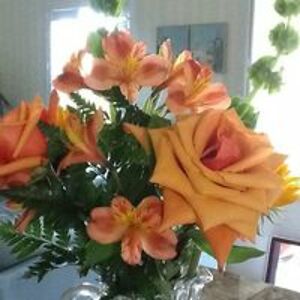 betty_berman505 avatar