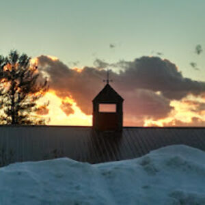 heidistillings avatar