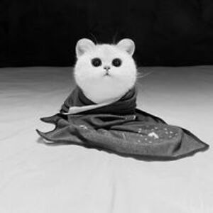 jmichelleatack avatar