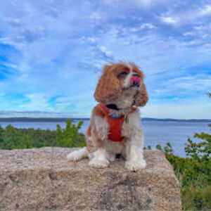 hillarydurkee avatar