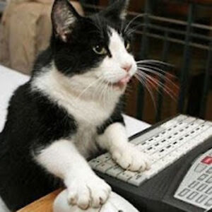 marilynmclaughlin_1 avatar