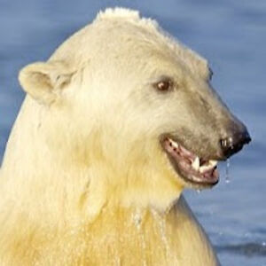 douglasmontgomery_1 avatar