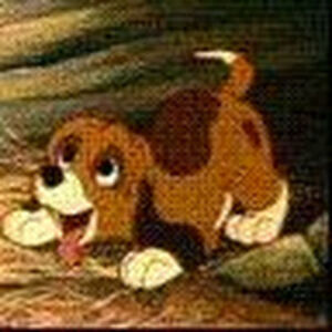 kerrychalmers avatar