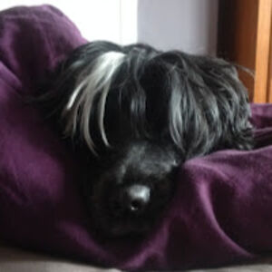 onehundredwaystobeagoodgirl avatar