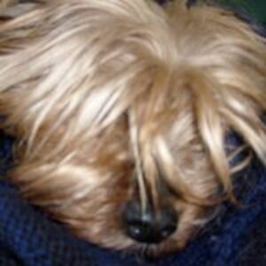 nemeth_kriszta avatar