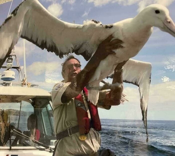 Man on a boat holding a giant bird with outstretched wings, an image that can trigger fear in those with megalophobia.