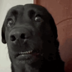 jackmcclimans avatar