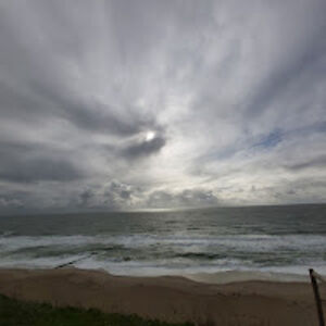 richardquinn_1 avatar