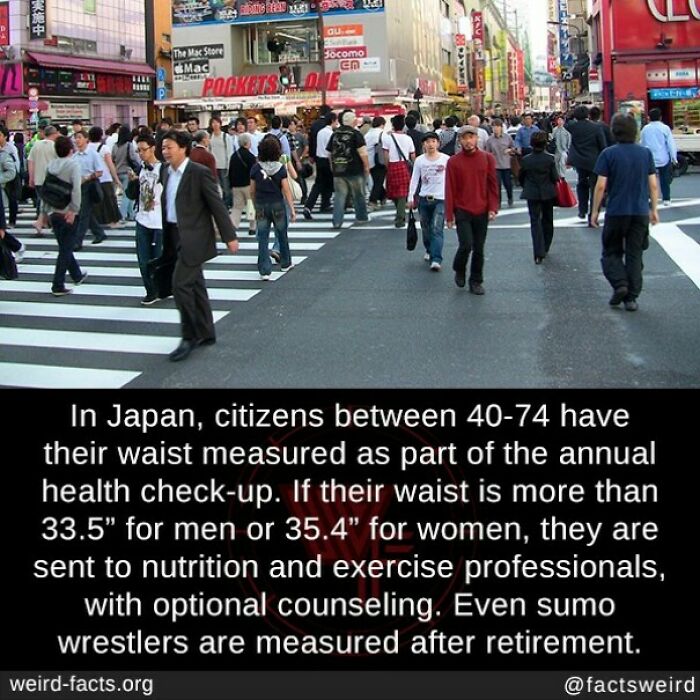 Crowded Japanese street with fun facts about waist measurements and annual health check-ups for citizens aged 40-74.