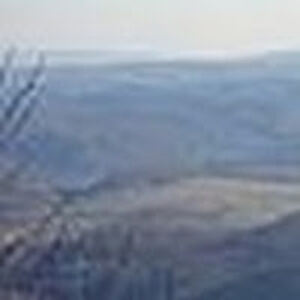 joshuabarkley avatar