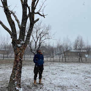 aaryannrbhalotia avatar