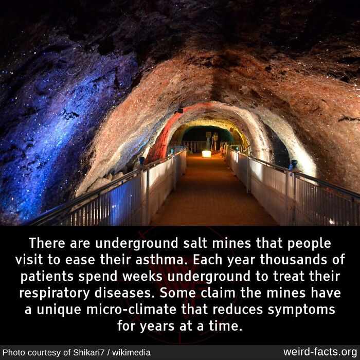 Colorfully lit underground salt mine tunnel with railings, known for its unique micro-climate easing asthma symptoms.