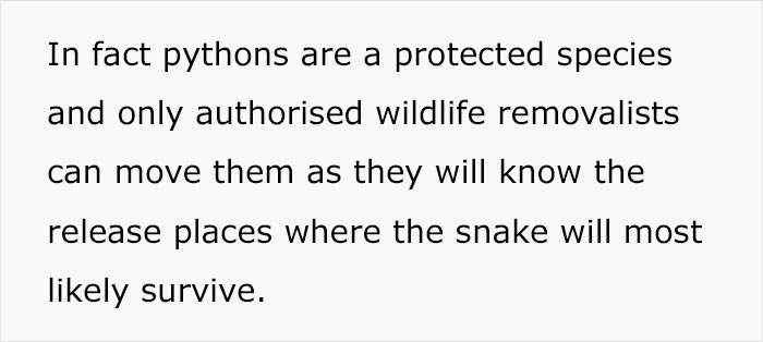 Python Lives Peacefully Under Woman’s House for Years, Neighbor Suddenly Insists on Removing It Python Lives Peacefully Under Woman’s House for Years, Neighbor Suddenly Insists on Removing It