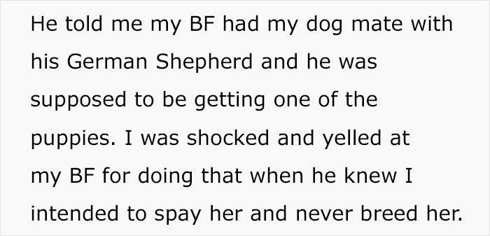 “AITA For Thinking Of Breaking Up With My BF Because Of What He Did To My Dog?” “AITA For Thinking Of Breaking Up With My BF Because Of What He Did To My Dog?”