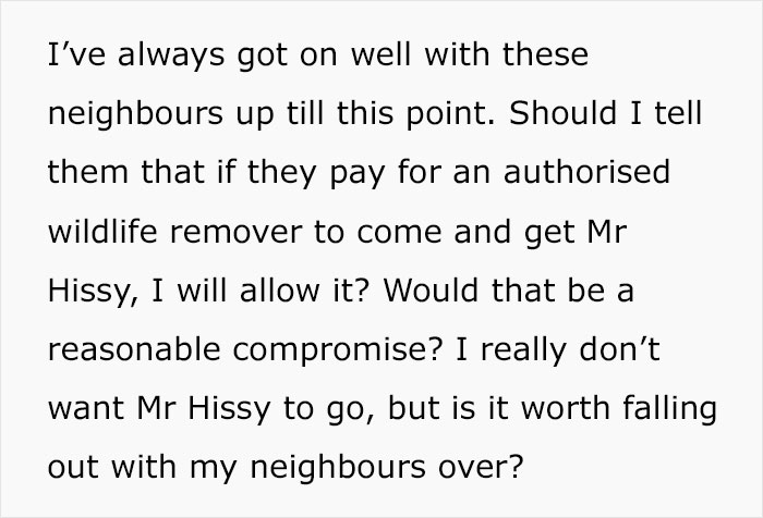 Python Lives Peacefully Under Woman’s House for Years, Neighbor Suddenly Insists on Removing It Python Lives Peacefully Under Woman’s House for Years, Neighbor Suddenly Insists on Removing It