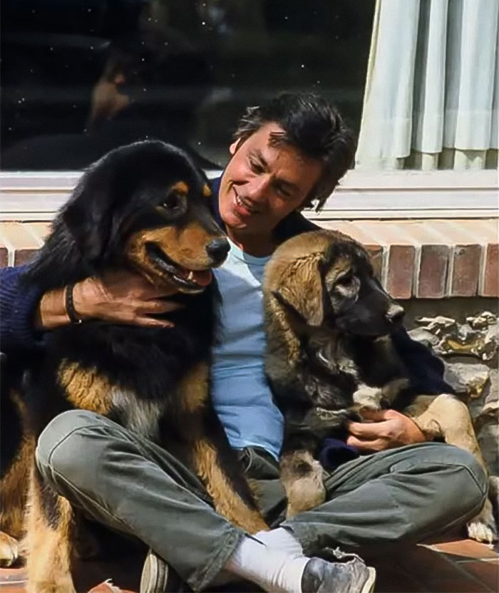 “I Want To Be Buried With My Dogs”: Family Refuses Late Actor’s Final Wish “I Want To Be Buried With My Dogs”: Family Refuses Late Actor’s Final Wish