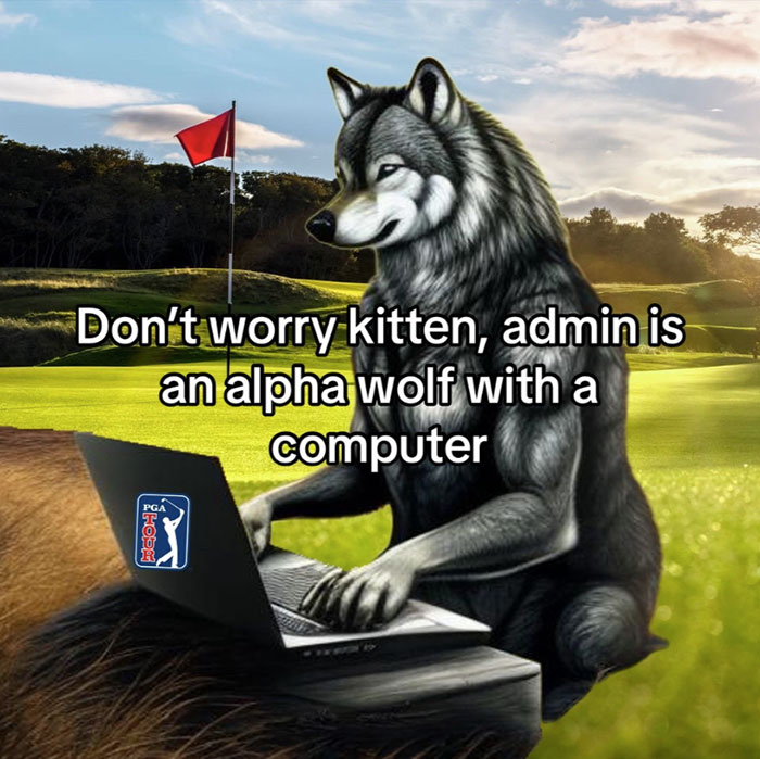 Alpha Rizz Wolf Alpha Wolf Meme: A Stark Reminder Of The Loneliness Surrounding Our ...