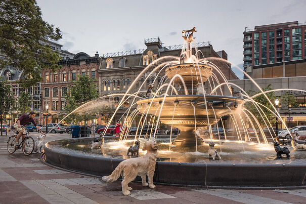 Berczy_Park-66b13ff4b73a5.jpg
