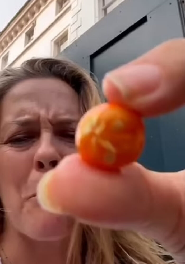 Alicia Silverstone Shares Health Update After Biting Into Poisonous Fruit Alicia Silverstone Shares Health Update After Biting Into Poisonous Fruit