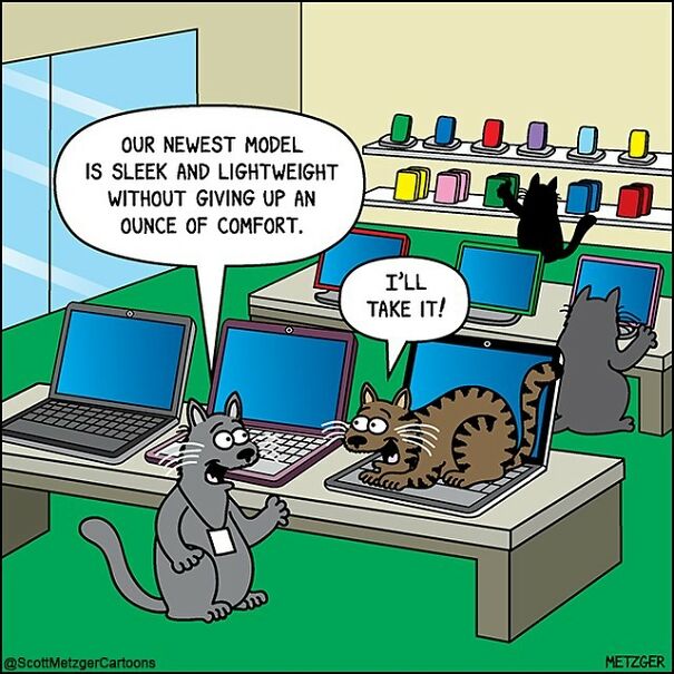Funny Cat Comics By Scott Metzger That Might Make Every Cat Owner Cry With Laughter (New Pics)
